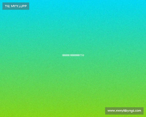 美国街球赛事 美国街球视频高清15秒